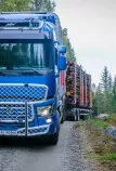 timber