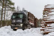 Timber truck