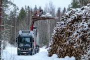 Timber truck