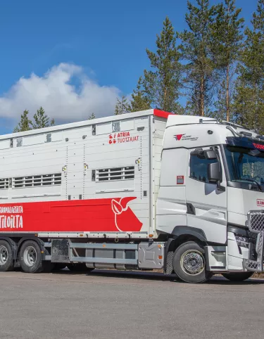 Silvennoinen